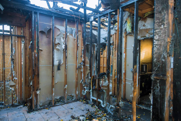 Professional Smoke Damage Removal technician working in Kingston, WA