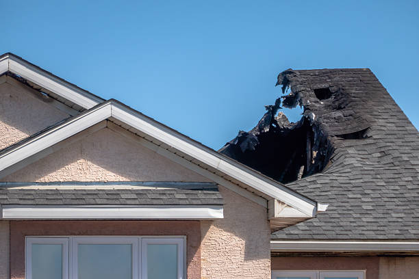 Top rated local Smoke Damage Removal specialists in Kingston, WA